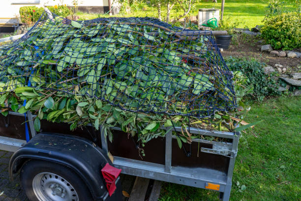 Moving and Downsizing Cleanouts in Hilbert, WI